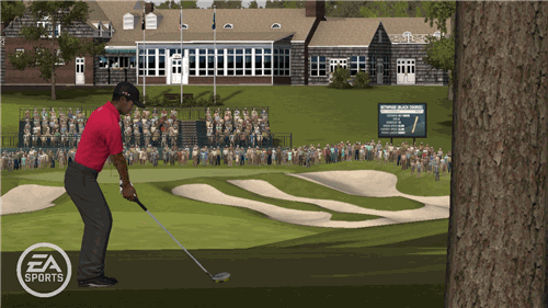 tiger woods wii 10