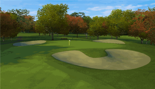 tiger woods golf game