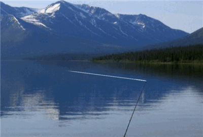 reel fishing anglers dream